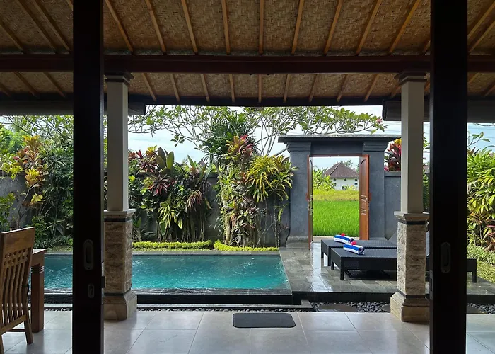 Edi Ubud